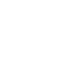 Es Moliner Logo